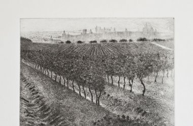 Vignes gravées