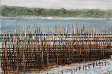Bassin d'Arcachon - Paysage naturel