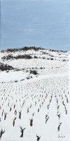 Vignes sous la neige