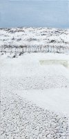 Neige sur le Lauragais