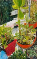 Les succulentes