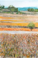 Vignes à Faugères