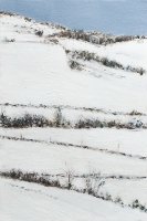 Le Lauragais sous la neige