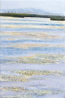 Sur la route des rizières (Gruissan)