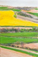 Colza dans le Lauragais