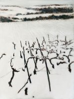 Vignes du sud-ouest sous la neige