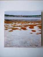 "Etangs de Gruissan" acrylique sur papier - 20x20 env.