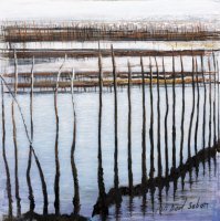 Le bassin d'Arcachon