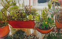 Les succulentes