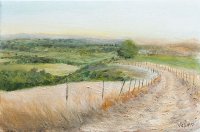 Chemin à Rieux Volvestre
