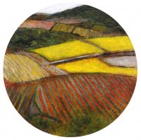 Vignes à Faugères