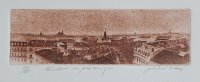 Toulouse - vue panoramique