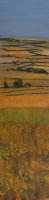 VIgnes à Faugères