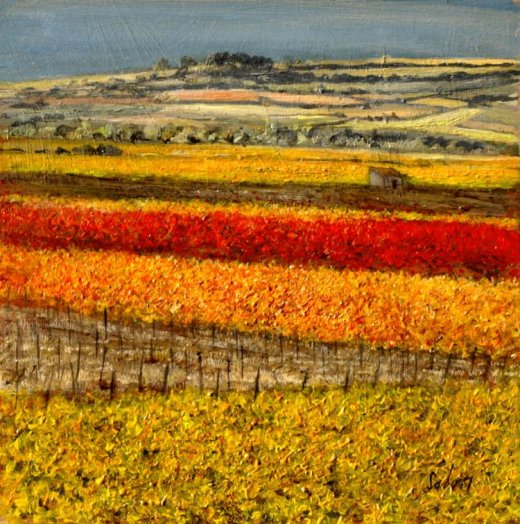 Vignes en automne