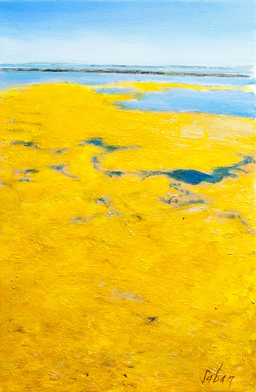 Vase aux Salins