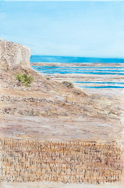 Les Salins