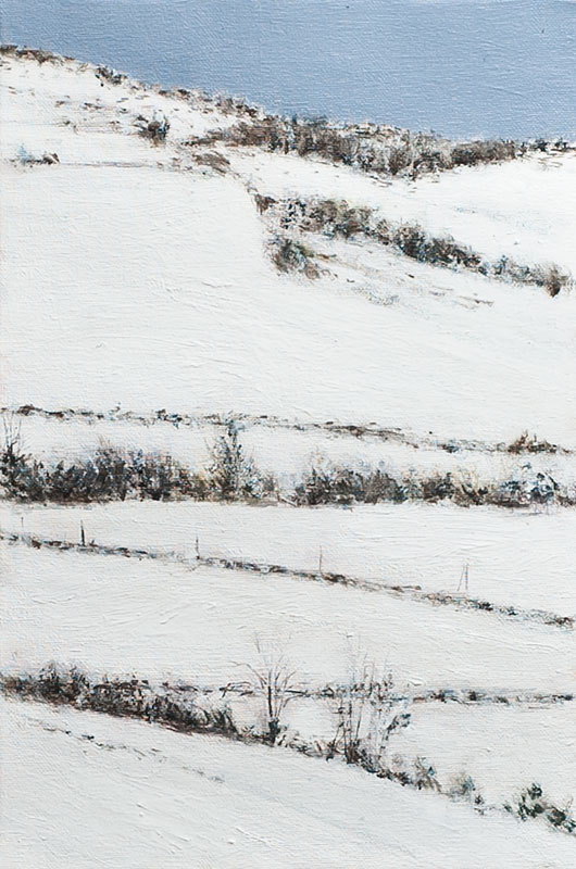 Le Lauragais sous la neige