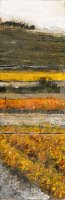Vignes à Faugères