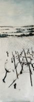 Vignes sous la neige
