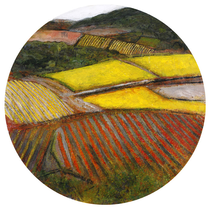 Vignes à Faugères