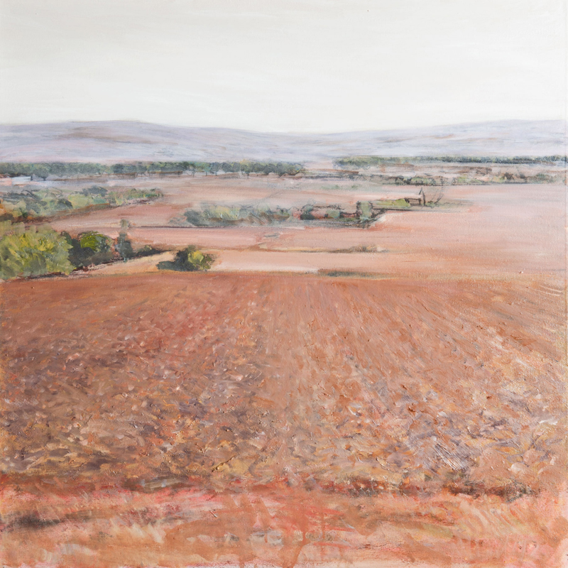Montgaillard Lauragais